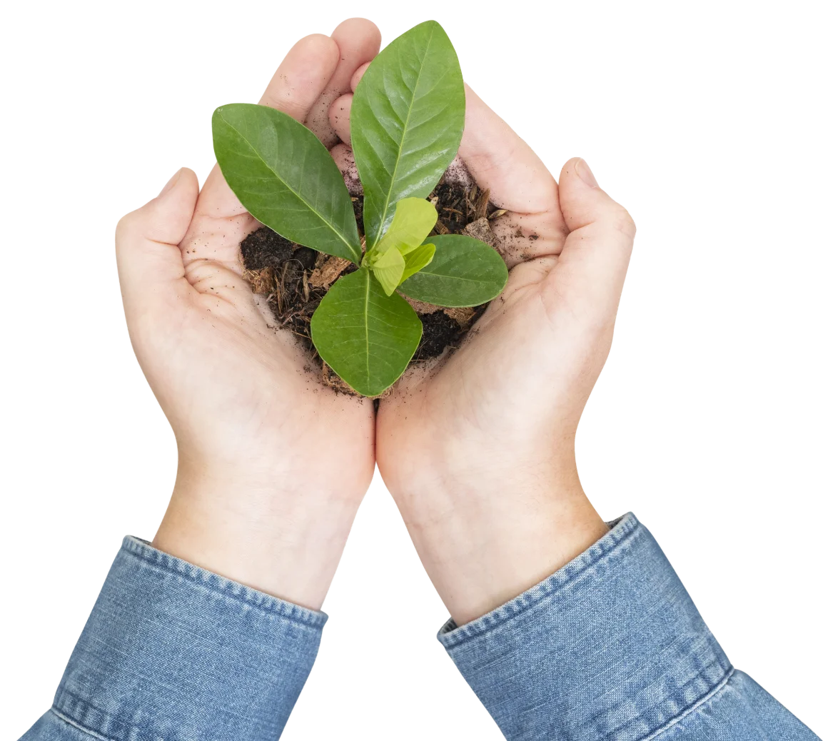 Compromisso com sustentabilidade na indústria plástica